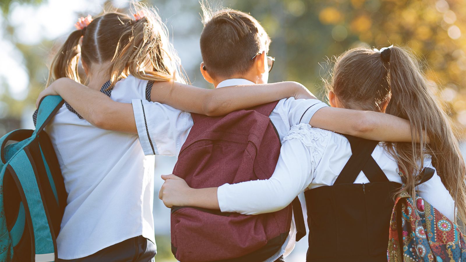 IDL news article images (1)