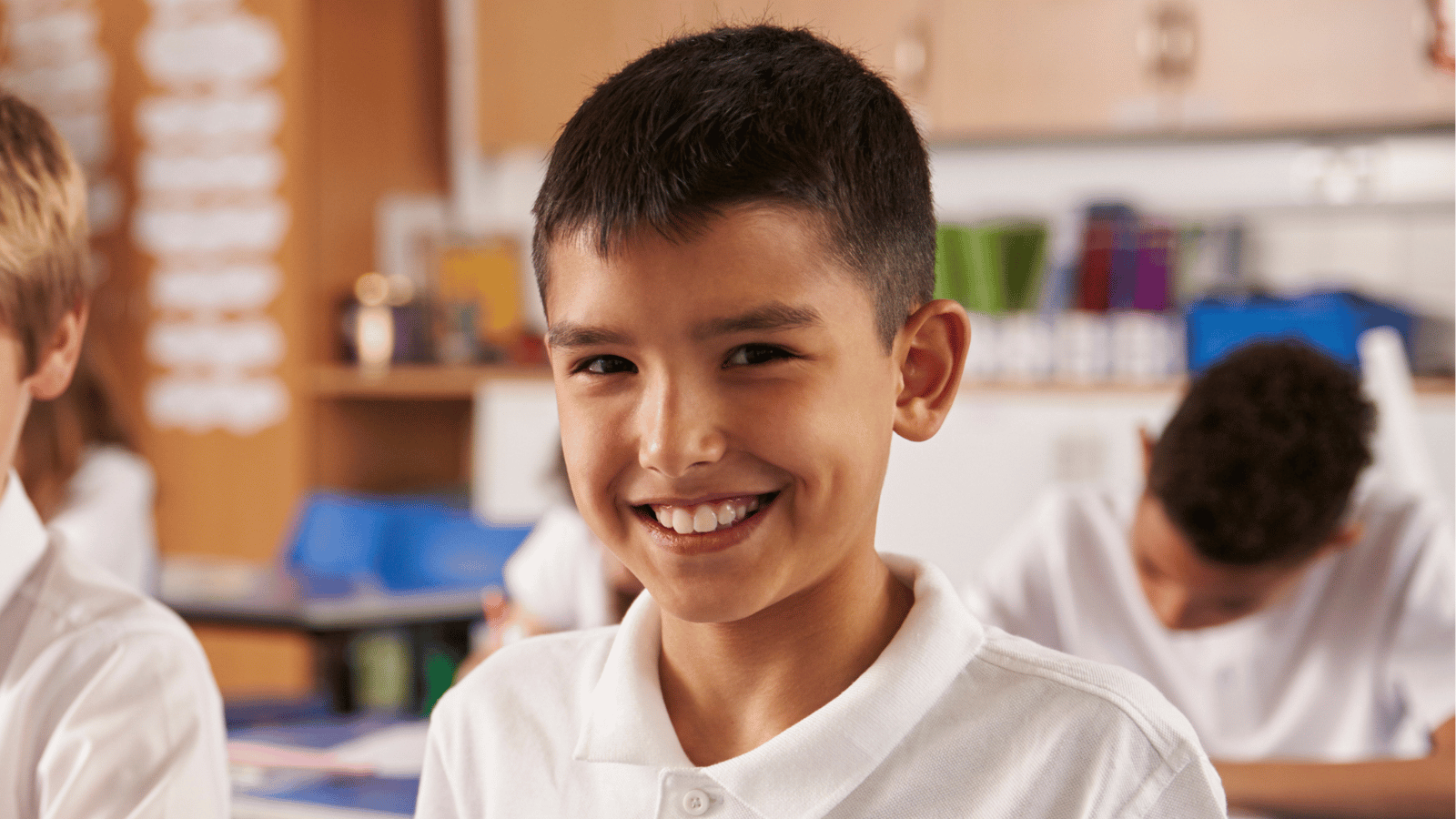 IDL news article images (21)